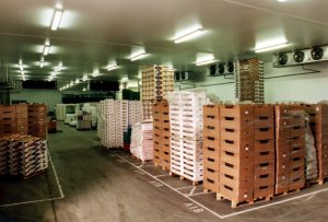 Cold Store